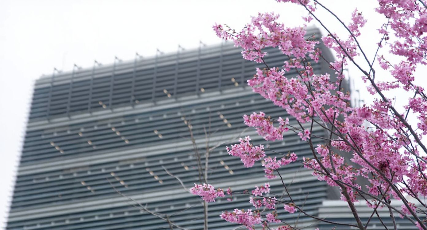 Alibaba launches agentic AI tool for businesses with Slack, Teams integration plans